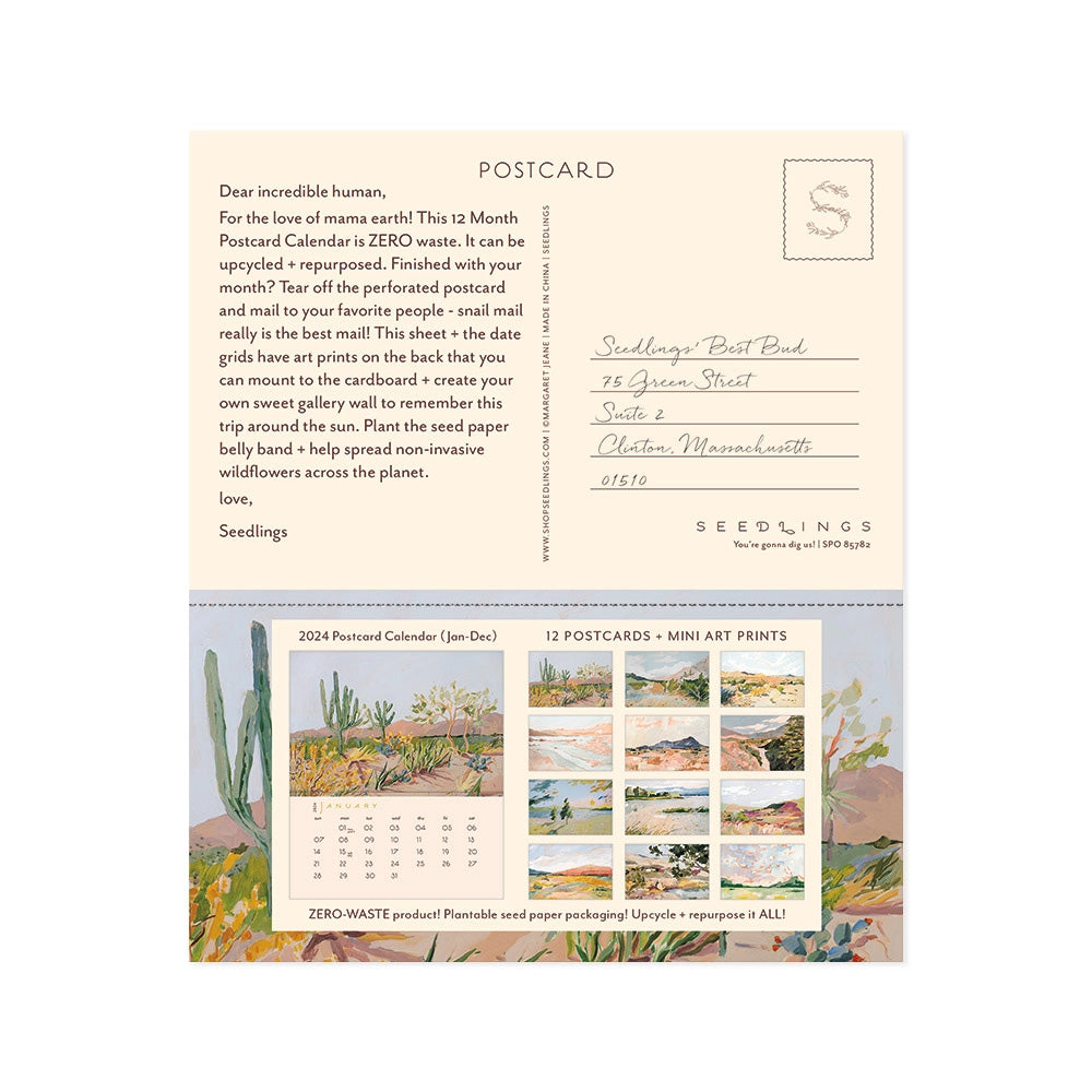Cactus Seedlings 2024 Postcard Calendar