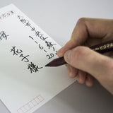 Sakura Postcard Pen