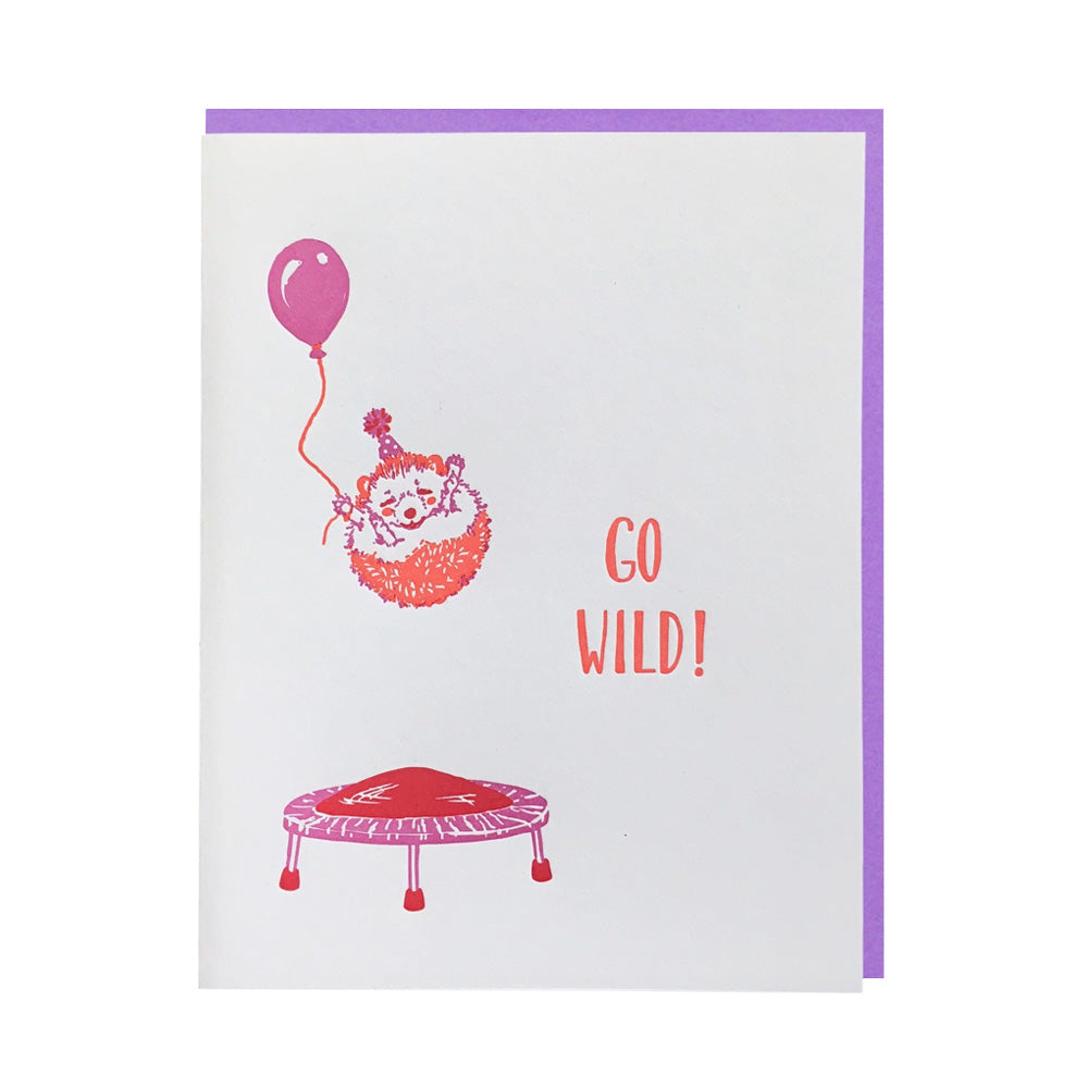 Hedgehog On Trampoline Birthday Card