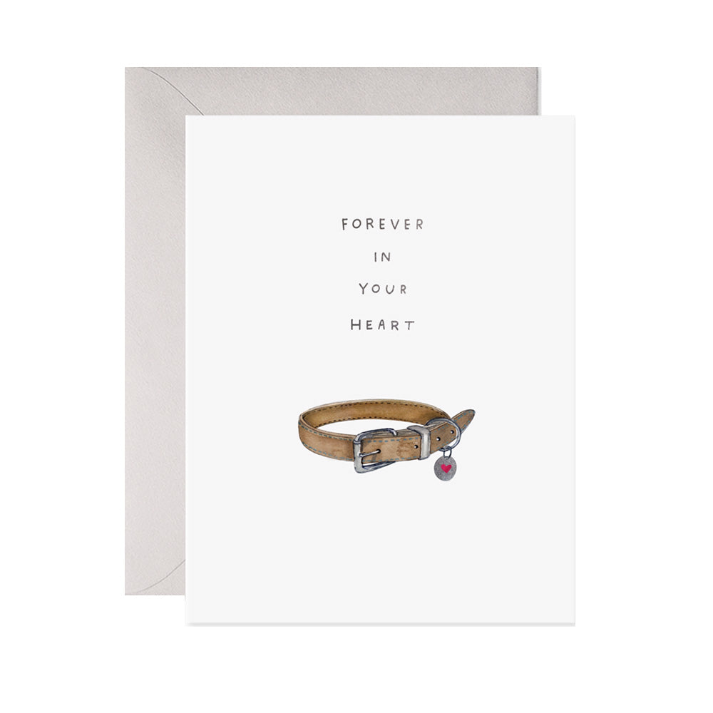 Pet Collar Card