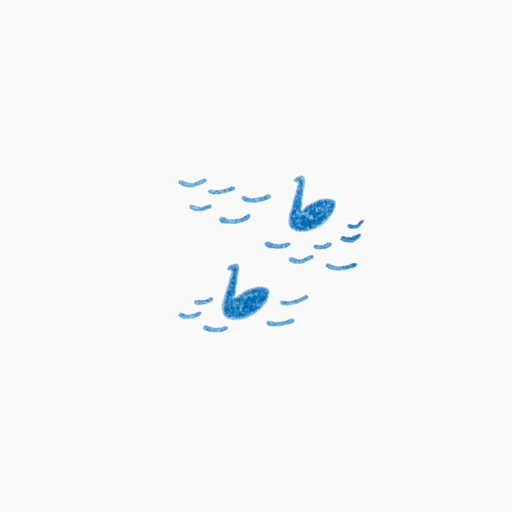 King Jim Kori Jirushi Crystal Clarity Small Stamp - Swans