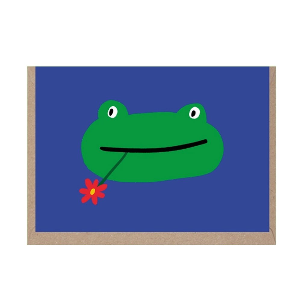 Pack of 6 Frog Mini Cards