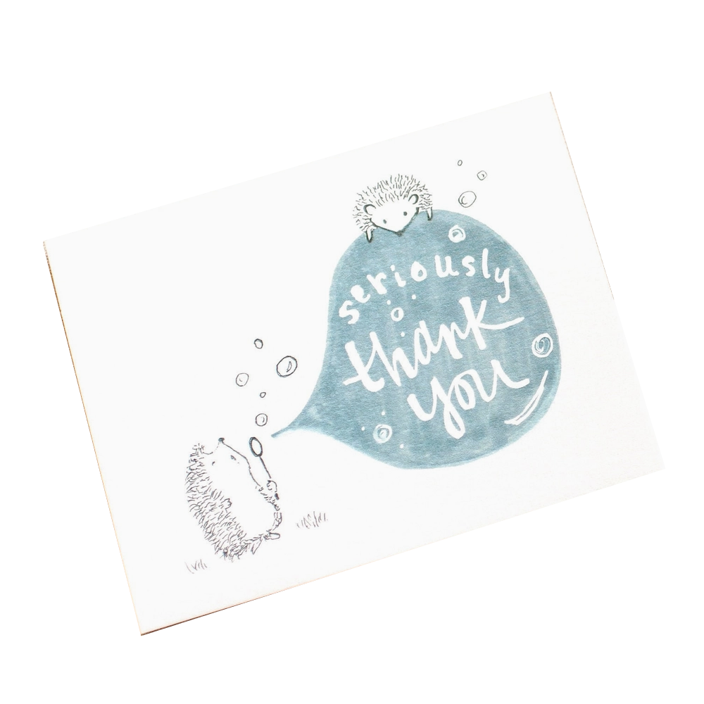 Hedgehog Thank You Card - Set of 6