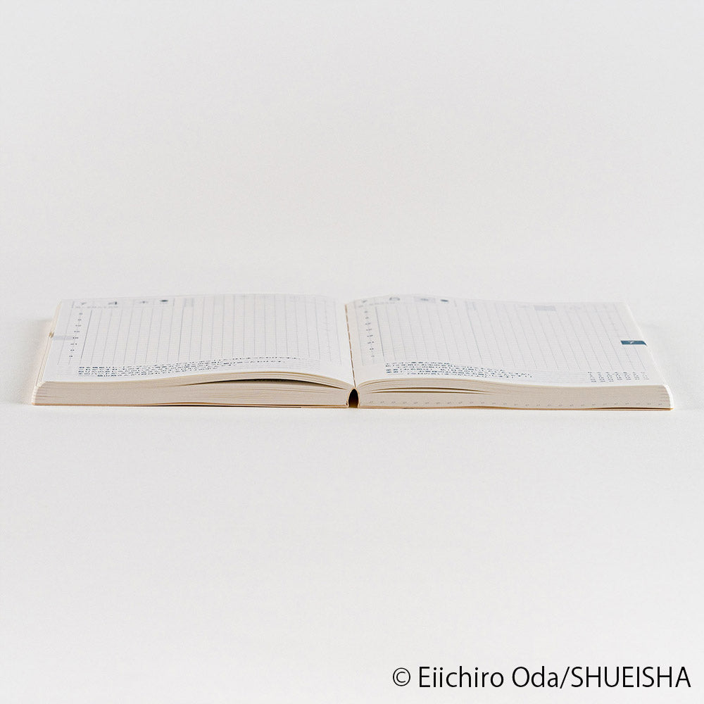 2024 Hobonichi Techo Planner Book Japanese A6 - ONE PIECE Edition