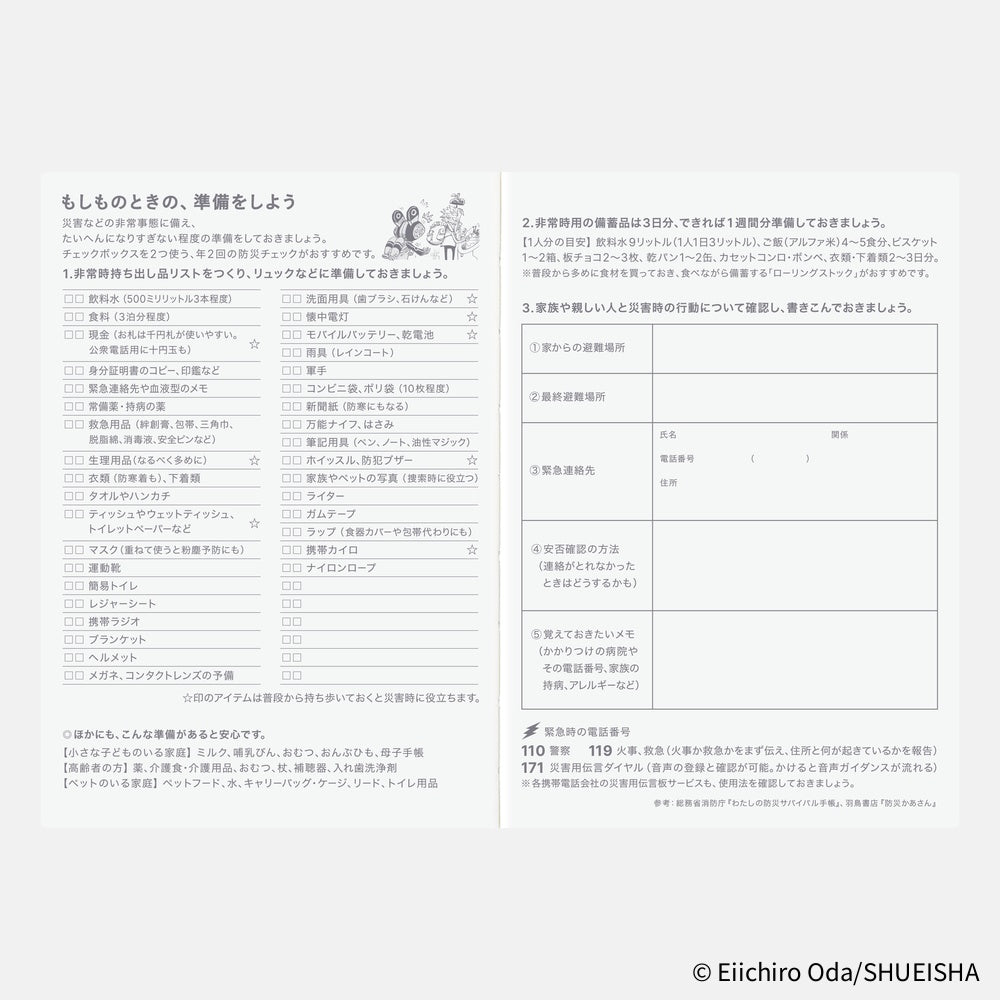 2026 Hobonichi Techo Original Book Japanese A6: One Piece Edition