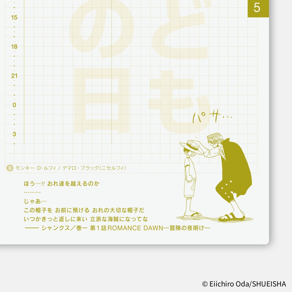 2026 Hobonichi Techo Original Book Japanese A6: One Piece Edition