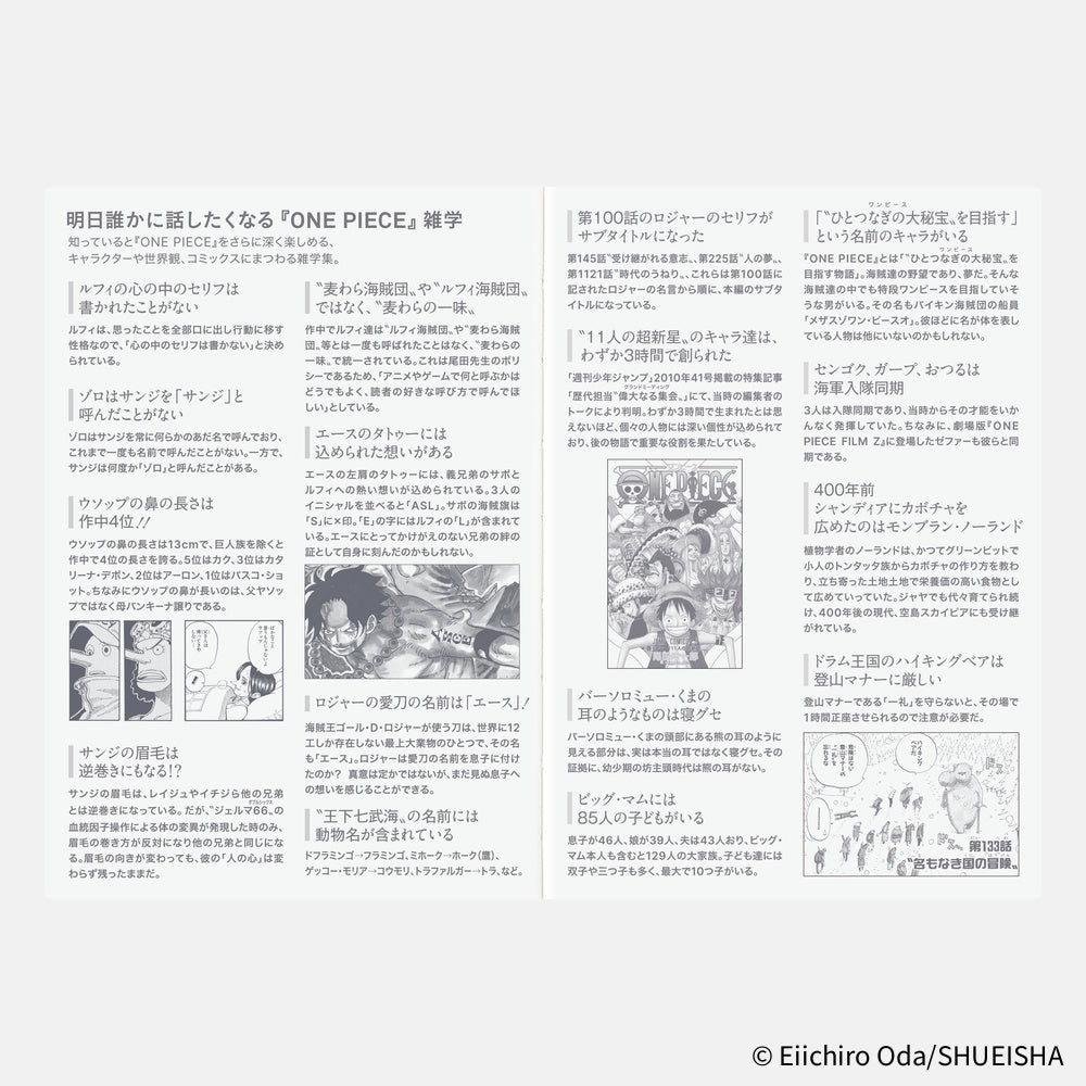 2026 Hobonichi Techo Original Book Japanese A6: One Piece Edition