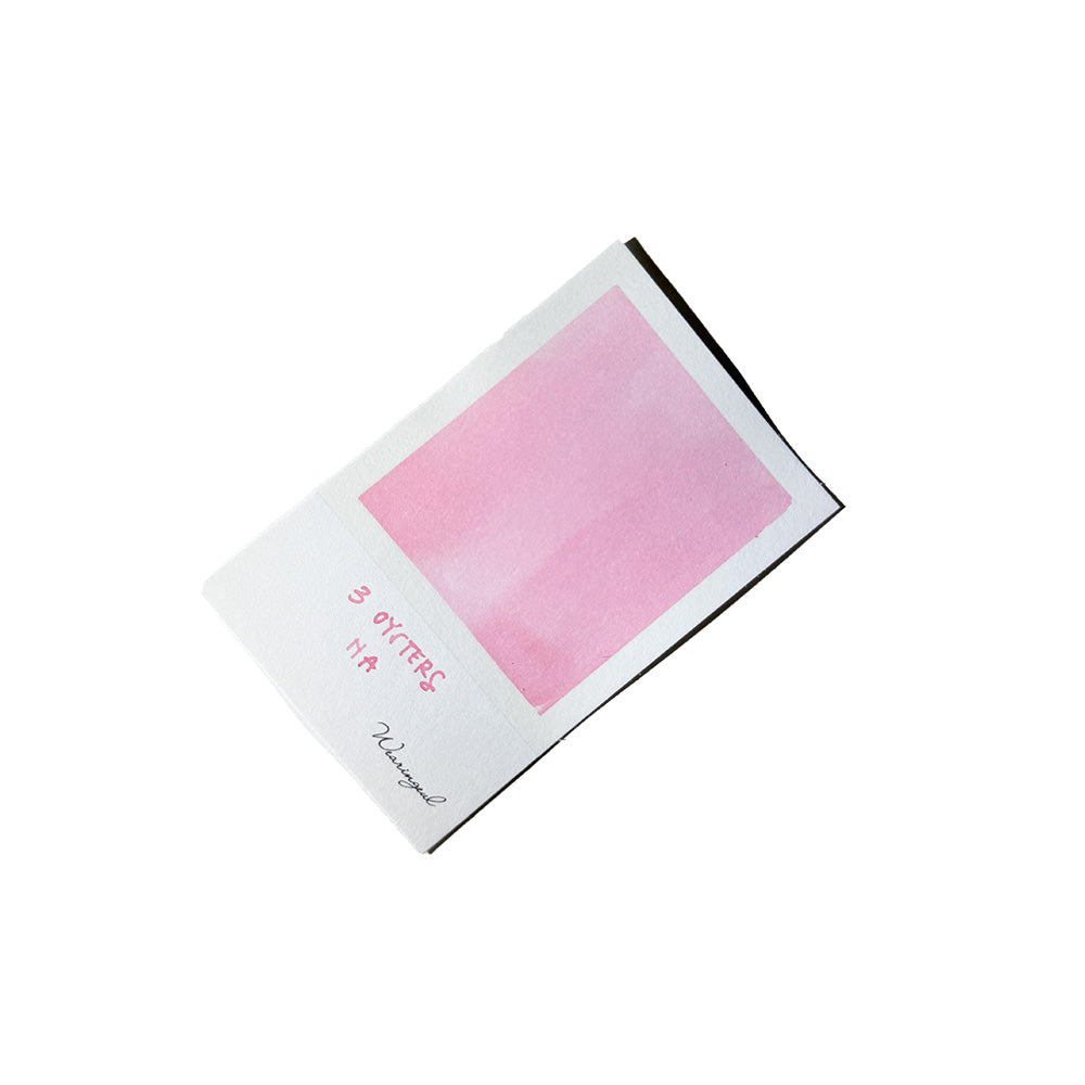 3 Oysters Fountain Pen Ink - Hun Min Jeong Eum Na Pink