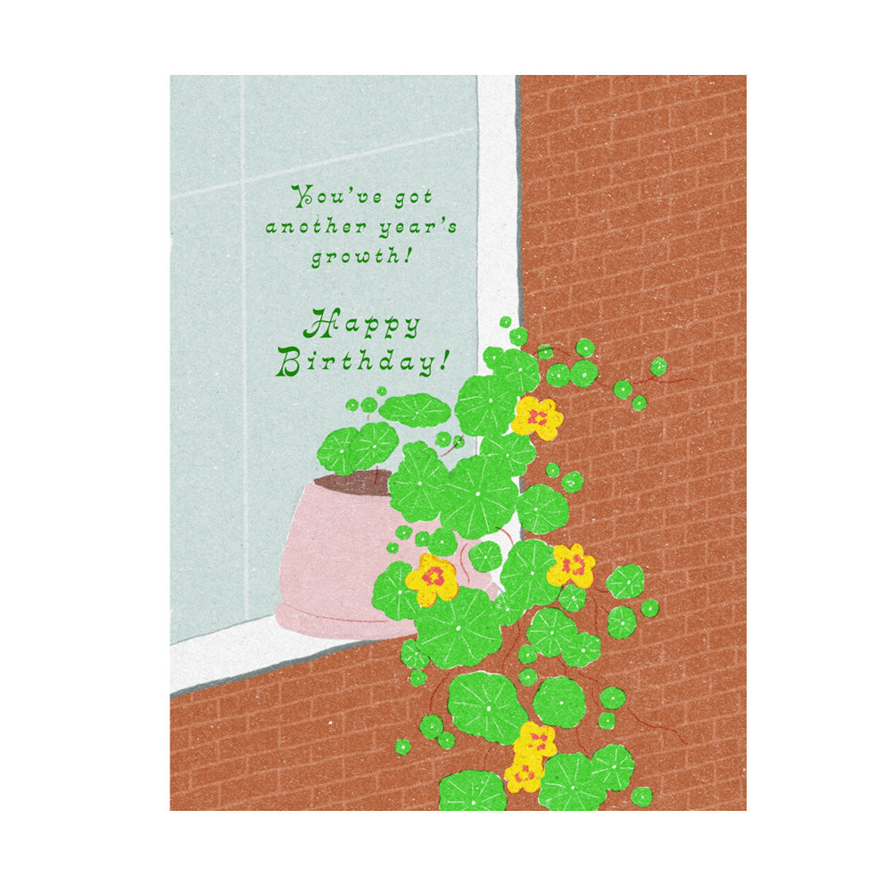 Birthday card with plants and text on a window ledge and text saying "You've got another year's growth! Happy birthday!"