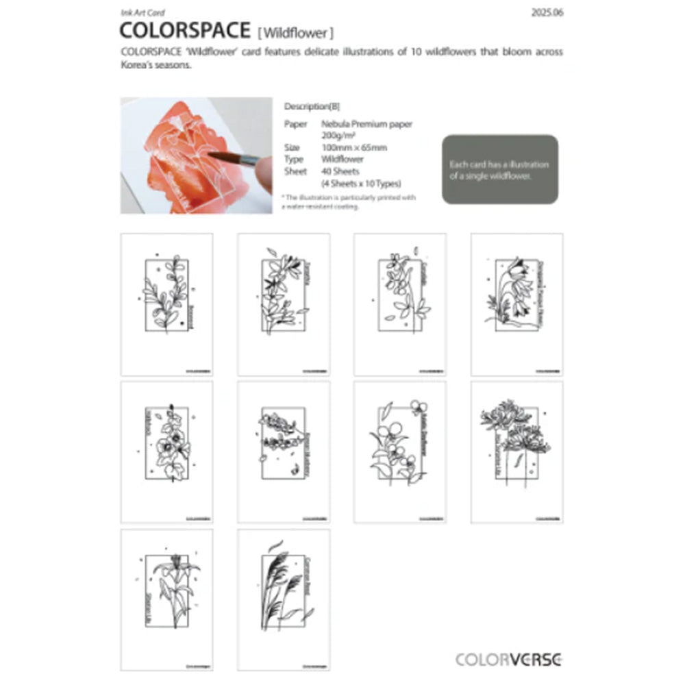 Colorverse Colorspace Ink Art Card Wildflower Size B - M.Lovewell