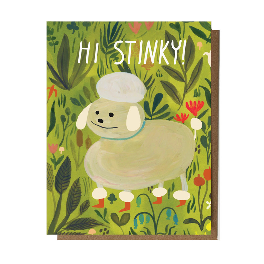 Card with a fluffy dog illustration and 'Hi Stinky!' text on a green background