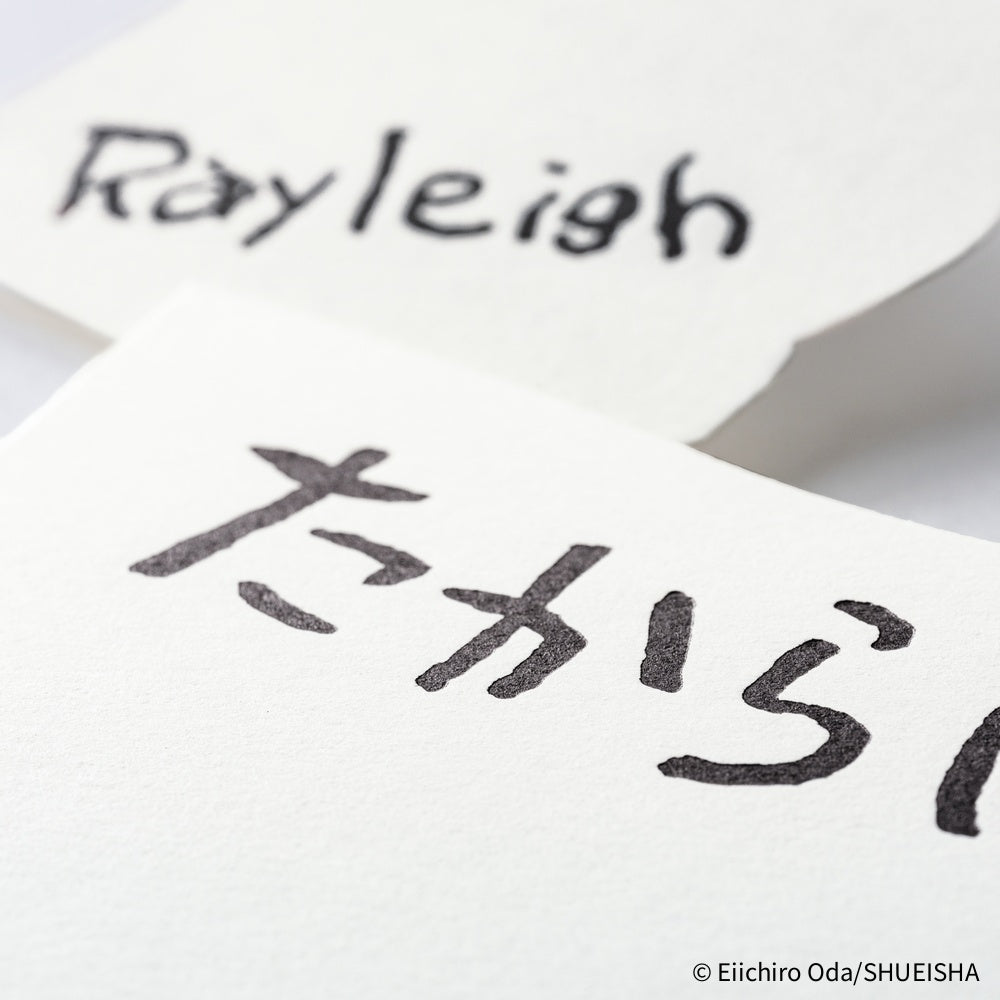 Hobonichi Techo - ONE PIECE magazine: Vivre Card & Treasure Tab Letterpress Printed Card