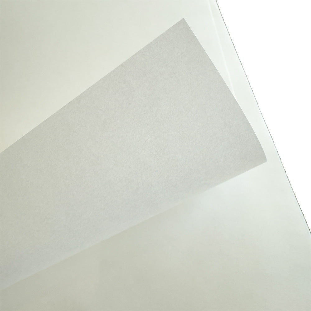 LIFE Airmail Letter Pad B5 - Plain