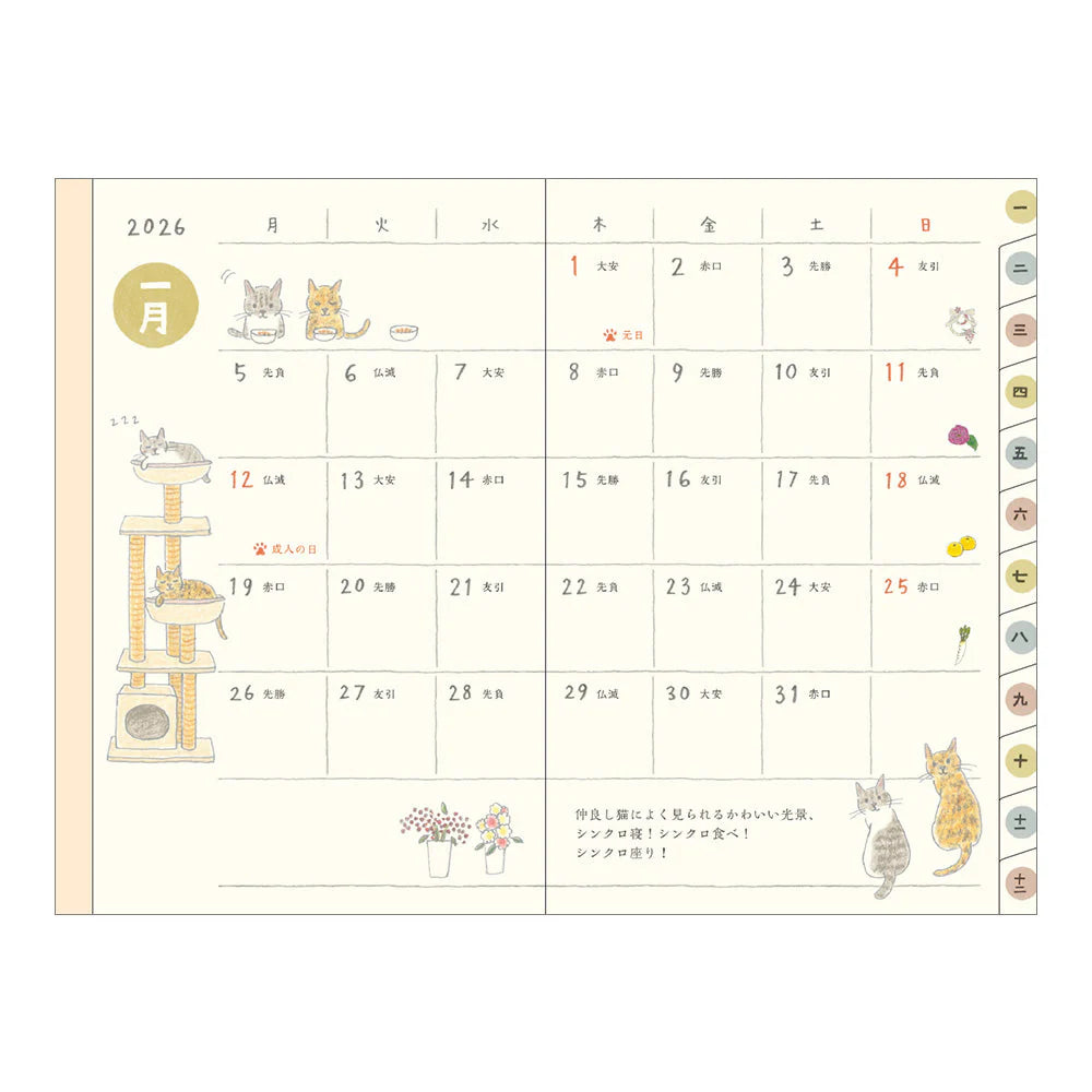 Midori 2026 Pocket Diary A6 - Cats