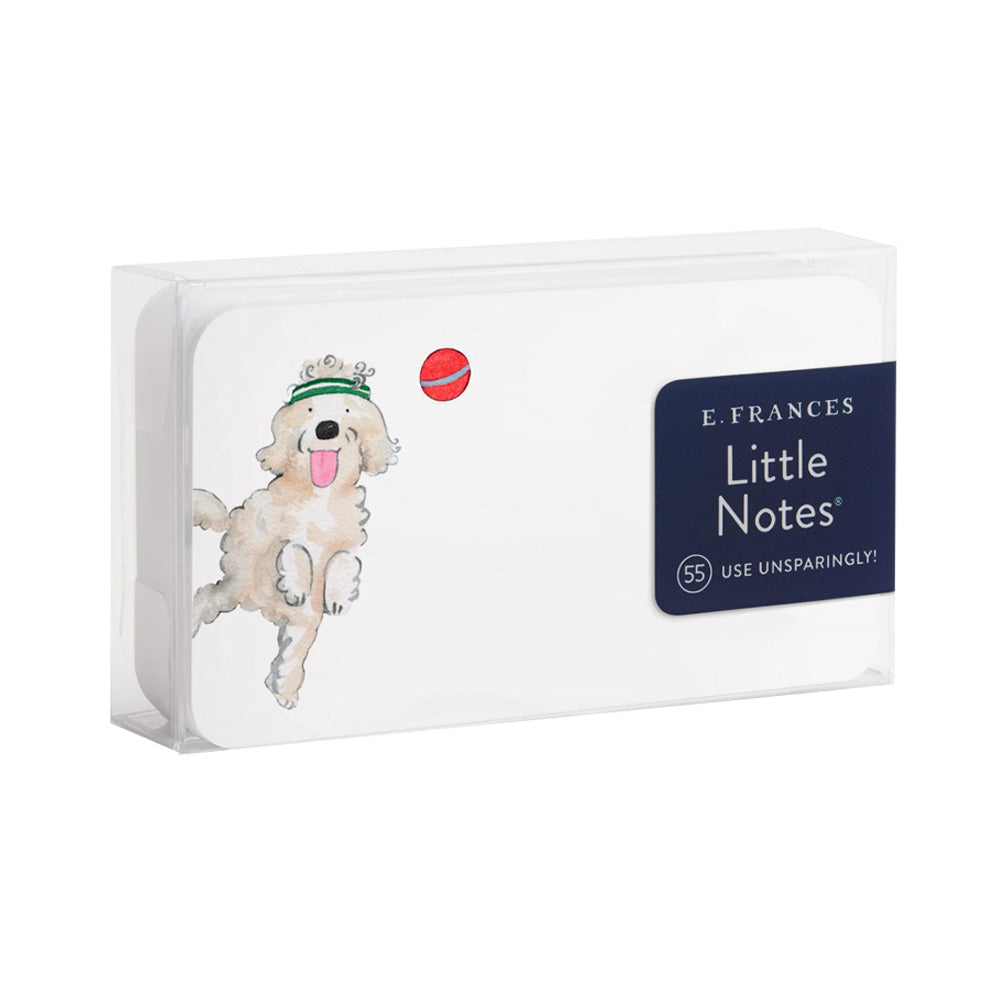 Little notes with an illustration of a dog chasing after a ball. 