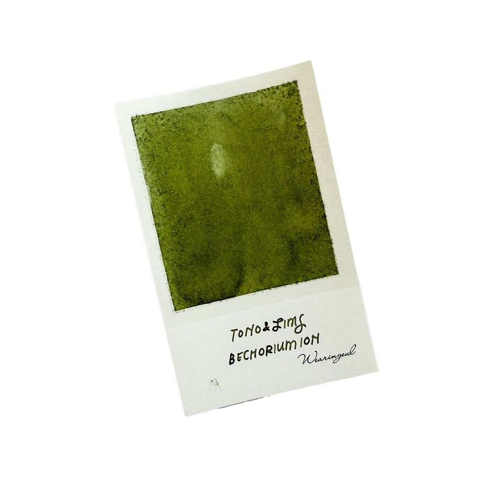 Tono & Lims Fountain Pen Ink - Friendship Series - Bechorium Ion - M.Lovewell