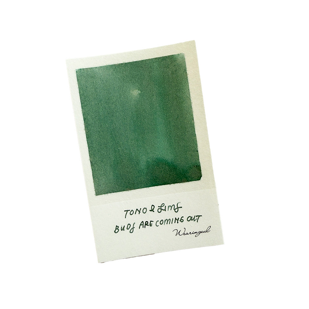 Tono & Lims Fountain Pen Ink - Friendship Series - Buds Are Coming Out - M.Lovewell