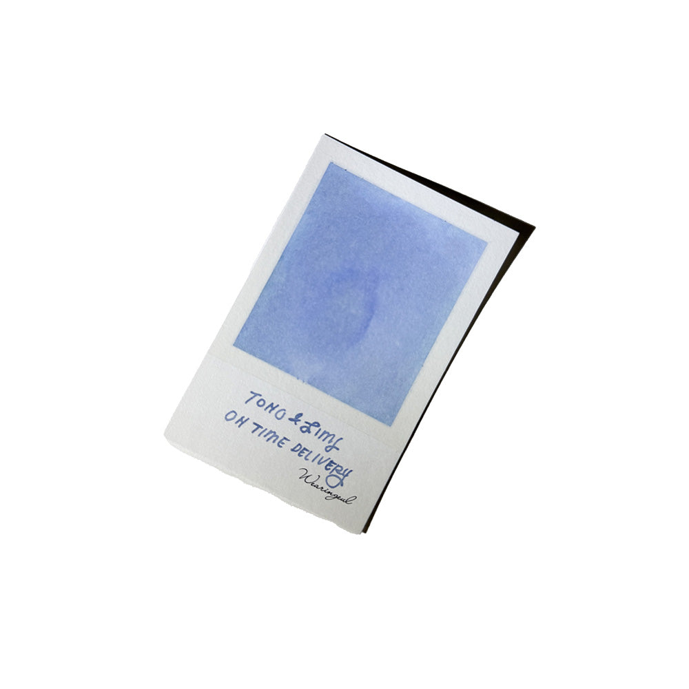 Tono & Lims Fountain Pen Ink - Friendship Series - On Time Delivery - M.Lovewell