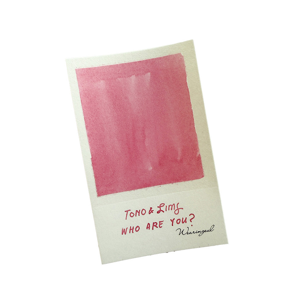 Tono & Lims Fountain Pen Ink - Friendship Series - Who Are You? - M.Lovewell