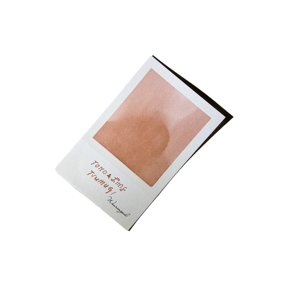 Tono & Lims Fountain Pen Ink - Kaleidoscope Pure - Tsumugi