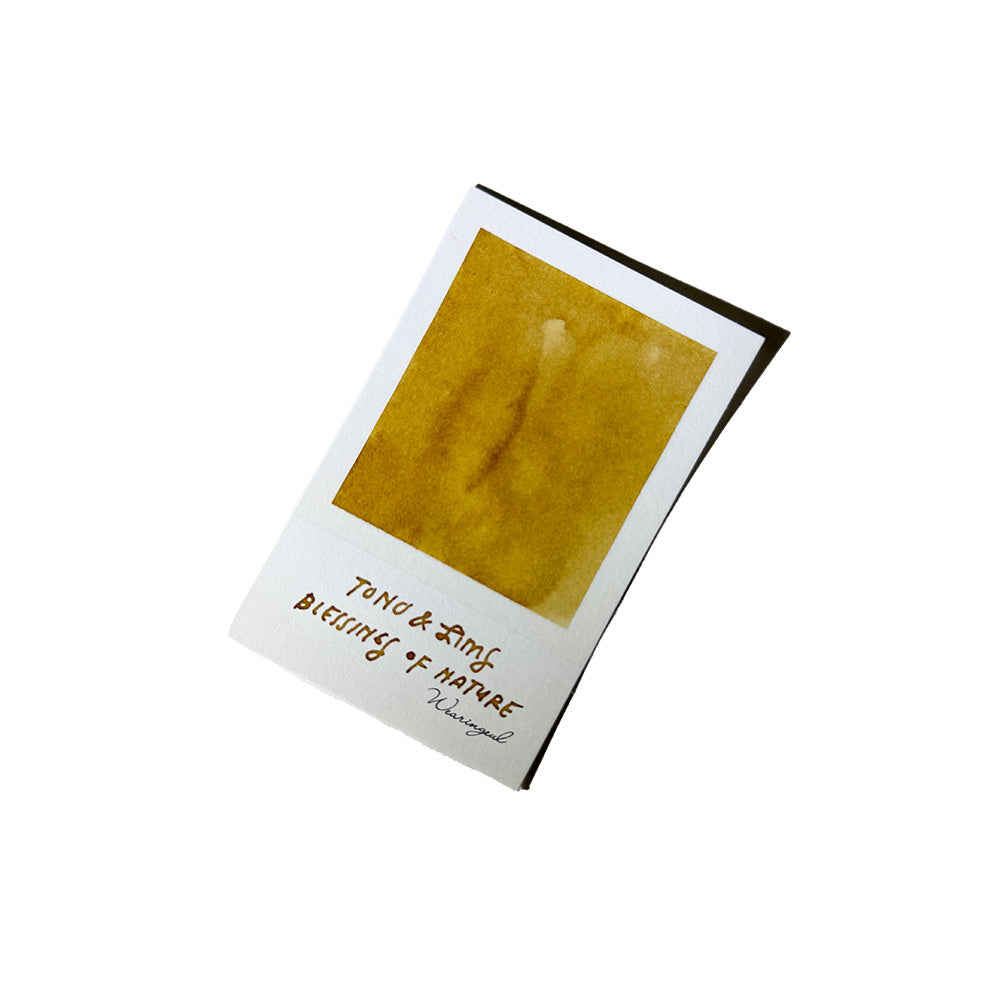 Tono & Lims Fountain Pen Ink - Moonlight Wonderland - Blessings of Nature