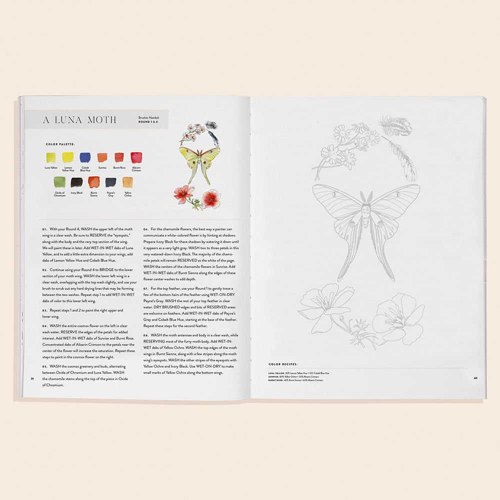 Watercolor Workbook 2: Flowers, Feathers & Animal Friends