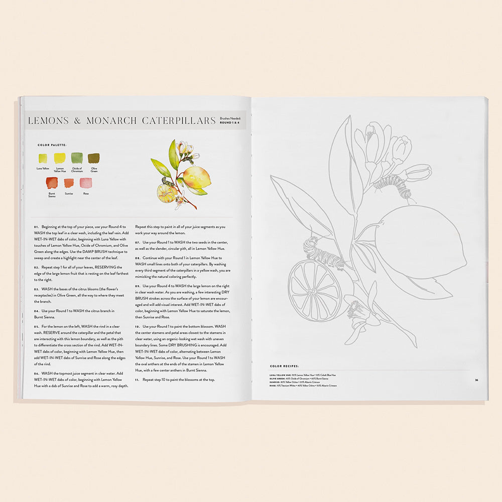 Watercolor Workbook 2: Flowers, Feathers & Animal Friends