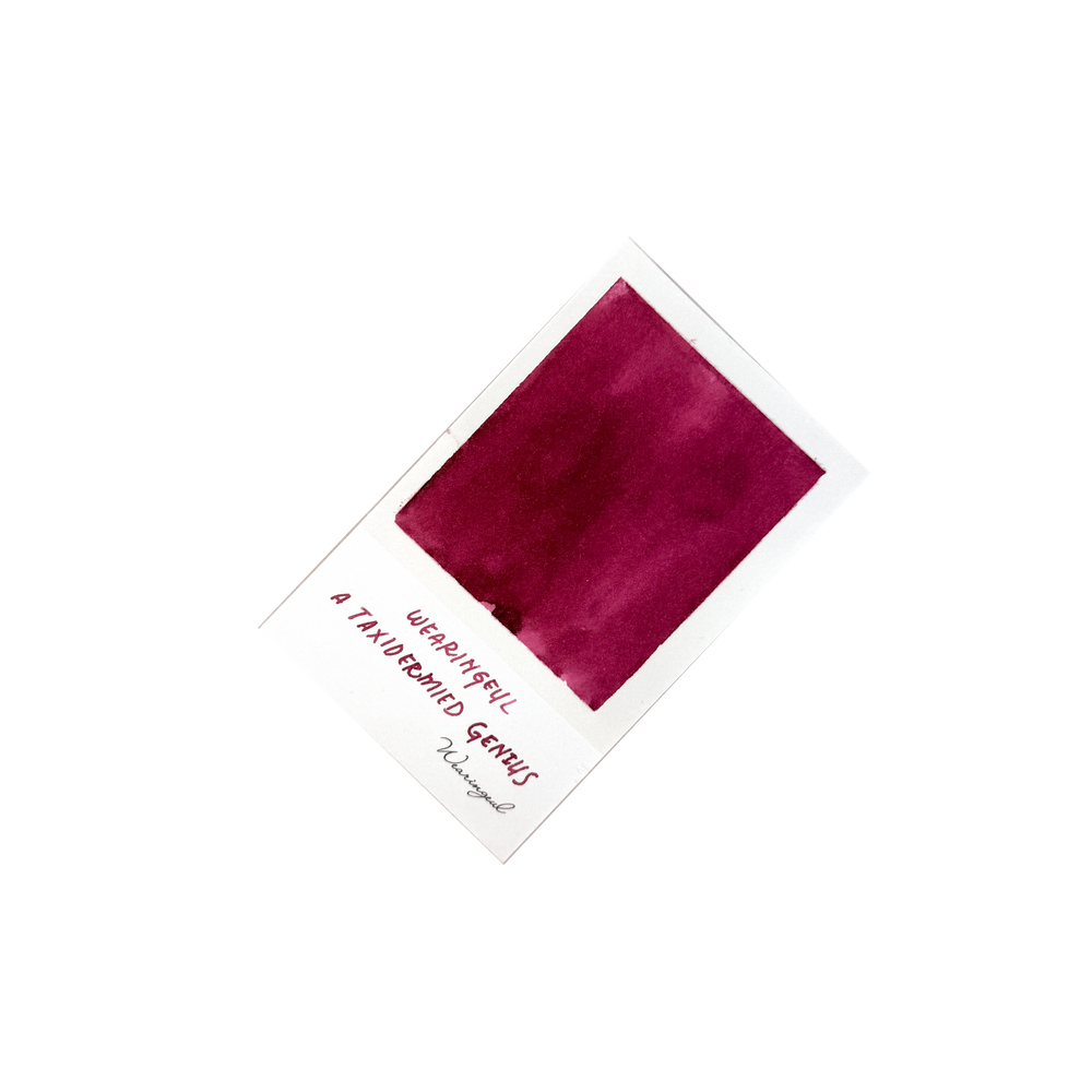 Wearingeul Fountain Pen Ink - Taxidermied Genius