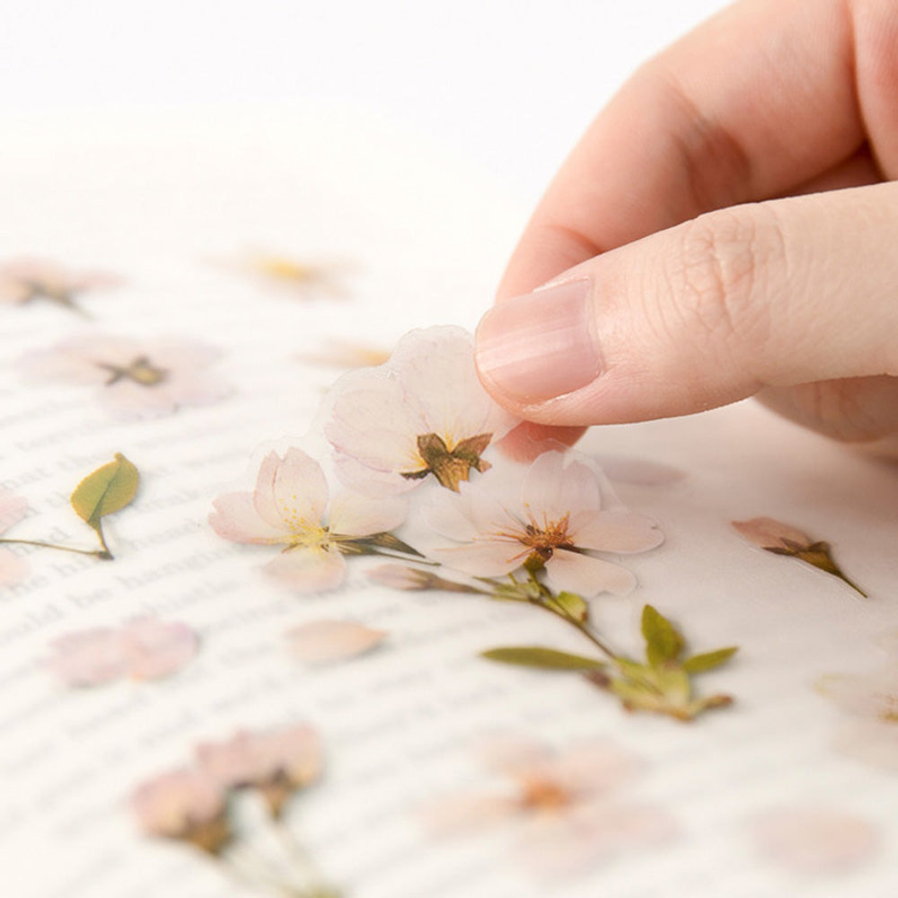 Pressed Flower Transparent Sticker - Cherry Blossom