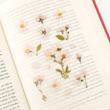Pressed Flower Transparent Sticker - Cherry Blossom