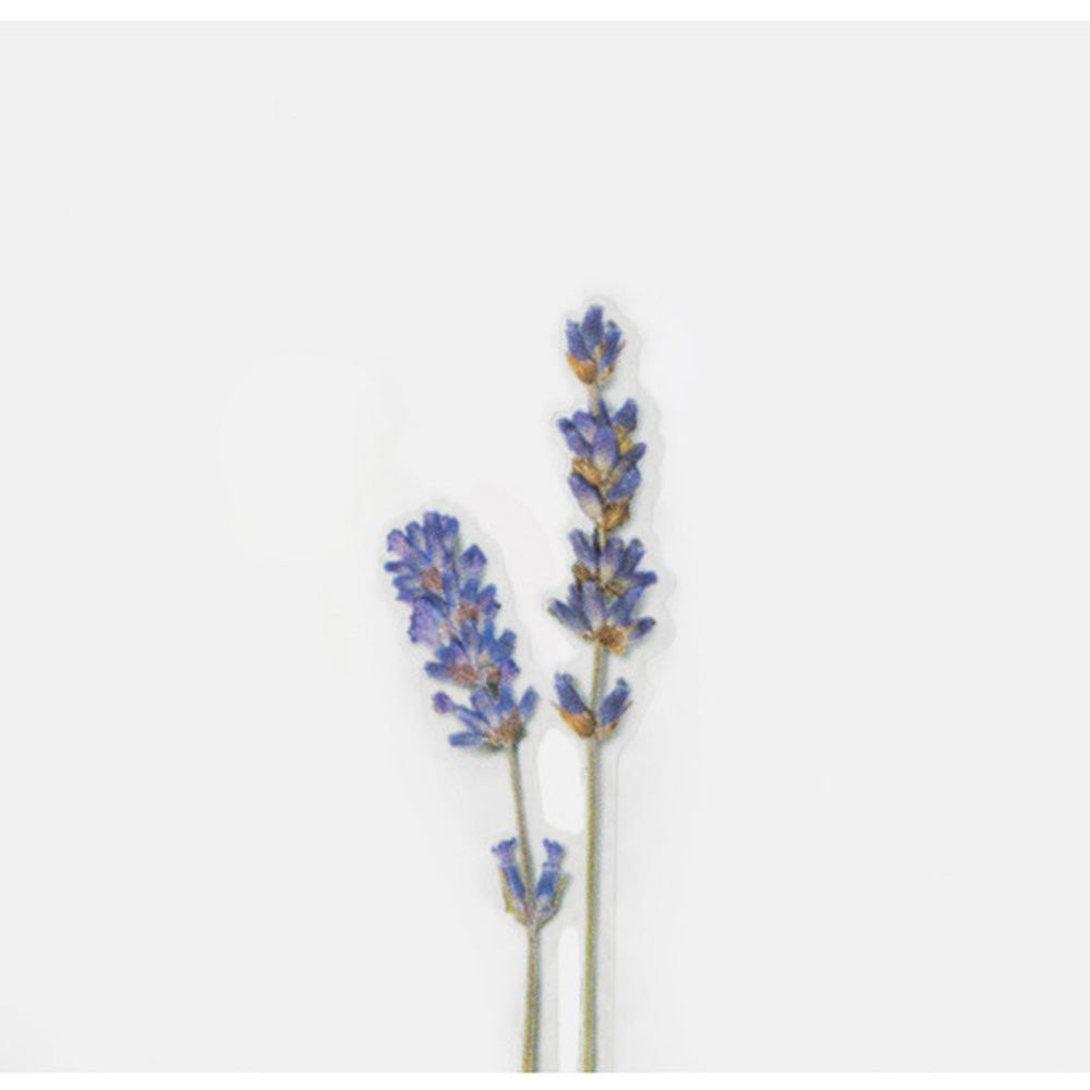 Pressed Flower Transparent Sticker - Lavender