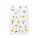 Pressed Flower Transparent Sticker - Marguerite