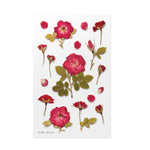 Pressed Flower Transparent Sticker - Mini Rose