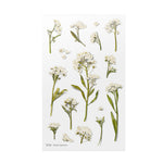 Pressed Flower Transparent Sticker - Sweet Alyssum