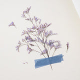 Pressed Flower Transparent Sticker - Misty Blue